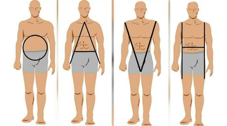 Les 4 grandes morphologies masculines